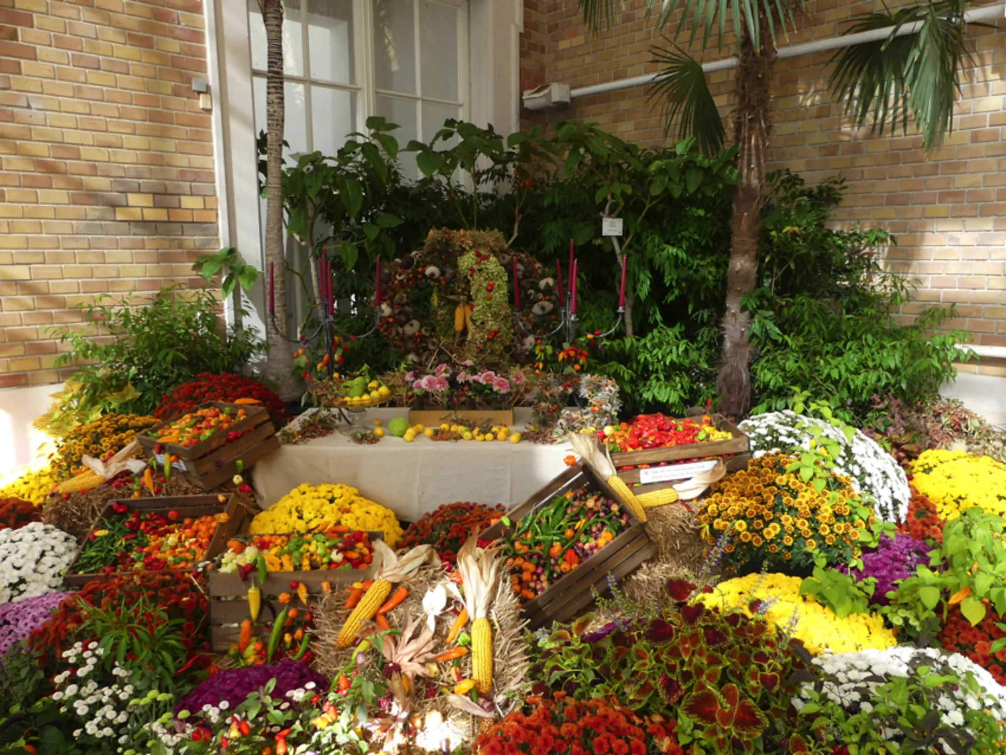 Wiener Herbsttage zeigen die Vielfalt alter Obstsorten – Brasserie Palmenhaus Wien