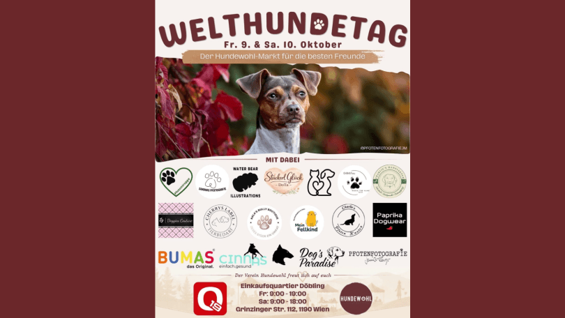 Welthundetag Q19 – Q19 Einkaufquartier Döbling